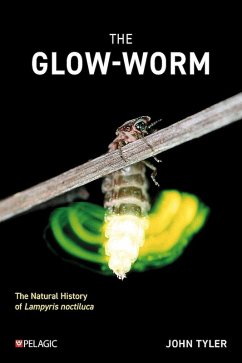 The Glow-worm (eBook, ePUB) - Tyler, John