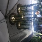 Flow Beneath the Wire (eBook, ePUB)