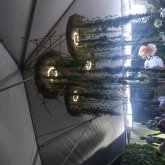 Flow Beneath the Wire (eBook, ePUB) Flow Beneath the Wire (eBook, ePUB)