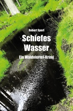 Cover Schiefes Wasser (eBook, ePUB)