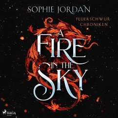Cover A Fire in the Sky (MP3-Download)