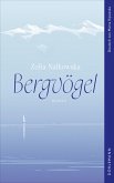 Bergvögel (eBook, ePUB)