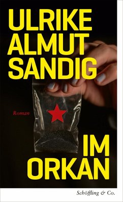 Cover Im Orkan (eBook, ePUB)
