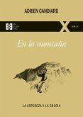 En la montaña (eBook, ePUB)