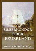 Silberkondor über Feuerland (eBook, ePUB)