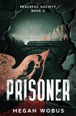 Prisoner (Peaceful Society, #2) (eBook, ePUB)
