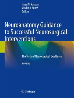 Cover Neuroanatomy Guidance to Successful Neurosurgical Interventions