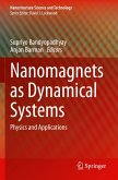 Nanomagnets as Dynamical Systems