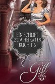 Ein Schuft zum Heiraten (eBook, ePUB)