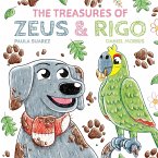 The Treasures of Zeus & Rigo (eBook, ePUB)