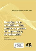 Desafíos de la rendición de los medios de prueba en el proceso y su valoración (eBook, ePUB)