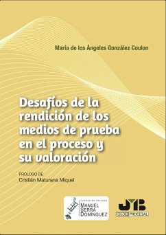 Desafíos de la rendición de los medios de prueba en el proceso y su valoración (eBook, ePUB) - González Coulon, María de los Ángeles