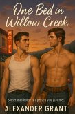 One Bed in Willow Creek (eBook, ePUB) One Bed in Willow Creek (eBook, ePUB)