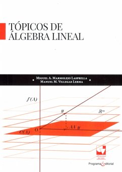 Cover Tópicos de álgebra lineal (eBook, PDF)
