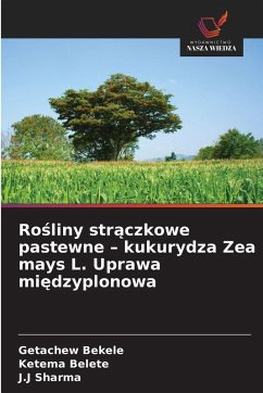Ro¿liny str¿czkowe pastewne - kukurydza Zea mays L. Uprawa mi¿dzyplonowa - Bekele, Getachew;Belete, Ketema;Sharma, J.J