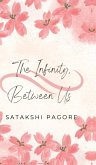 The Infinity Between Us