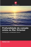 Profundidade da camada mista no Mar Oriental