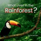 What Lives in the Rainforest?