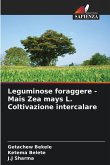 Leguminose foraggere - Mais Zea mays L. Coltivazione intercalare