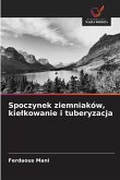 Spoczynek ziemniaków, kie¿kowanie i tuberyzacja