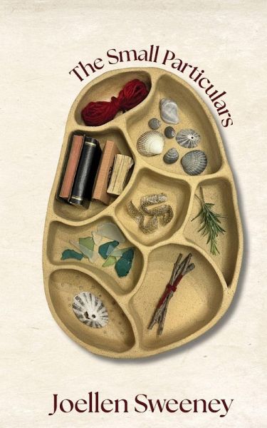 The Small Particulars