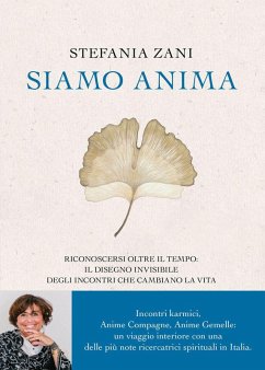 Siamo anima. Riconoscersi oltre il tempo: il disegno invisibile degli incontri che cambiano la vita - Zani, Stefania