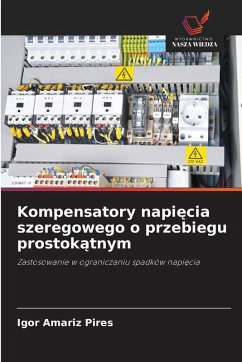 Kompensatory napi¿cia szeregowego o przebiegu prostok¿tnym - Amariz Pires, Igor
