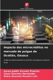 Impacto dos microcréditos no mercado de pulgas de Ocotlán, Oaxaca