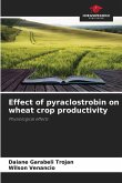Effect of pyraclostrobin on wheat crop productivity