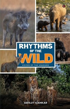Rhythms of the Wild - Abhijit Ilamkar