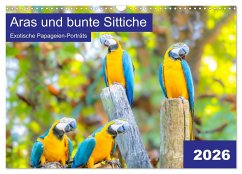 Aras und bunte Sittiche: Exotische Papageien-Porträts (Wandkalender 2026 DIN A3 quer), CALVENDO Monatskalender - Calvendo;WSchäfer