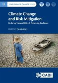 Climate Change and Risk Mitigation