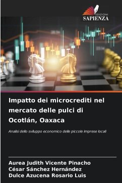 Cover Impatto dei microcrediti nel mercato delle pulci di Ocotlán, Oaxaca