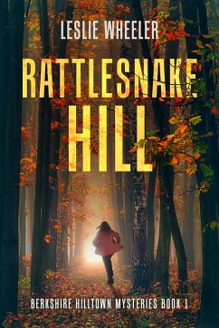 Cover Rattlesnake Hill (eBook, ePUB)
