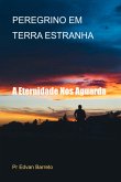Peregrino Em Terra Estranha (eBook, ePUB)