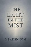 The light in the mist (eBook, ePUB)
