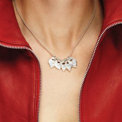 Cover Mosquito (Clear Vinyl)