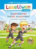 Leselöwen 2. Klasse - Superstürmer halten zusammen! (eBook, ePUB)