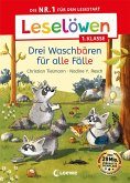 Leselöwen 1. Klasse - Drei Waschbären für alle Fälle (eBook, ePUB)