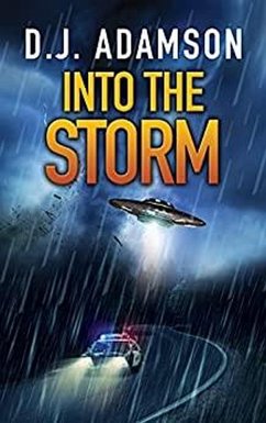Cover Into The Storm (eBook, ePUB)