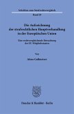 Die Aufzeichnung der strafrechtlichen Hauptverhandlung in der Europäischen Union