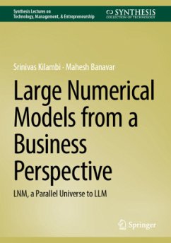 Cover Large Numerical Models from a Business Perspective