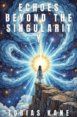 Echoes Beyond the Singularity (eBook, ePUB)