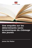 Une enquête sur les déterminants socio-économiques du chômage des jeunes