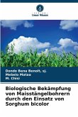 Biologische Bekämpfung von Maisstängelbohrern durch den Einsatz von Sorghum bicolor Biologische Bekämpfung von Maisstängelbohrern durch den Einsatz von Sorghum bicolor