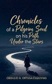 Chronicles of a Pilgrim Soul on his Path Under the Stars