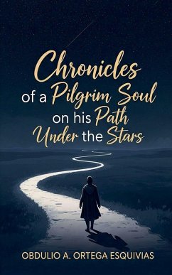 Cover Chronicles of a Pilgrim Soul on his Path Under the Stars