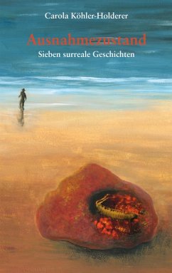 Cover Ausnahmezustand