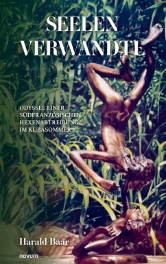 Cover Seelenverwandte