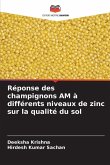 Réponse des champignons AM à différents niveaux de zinc sur la qualité du sol